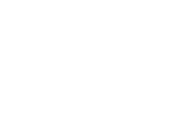 ATOMIC - Intellinet 1