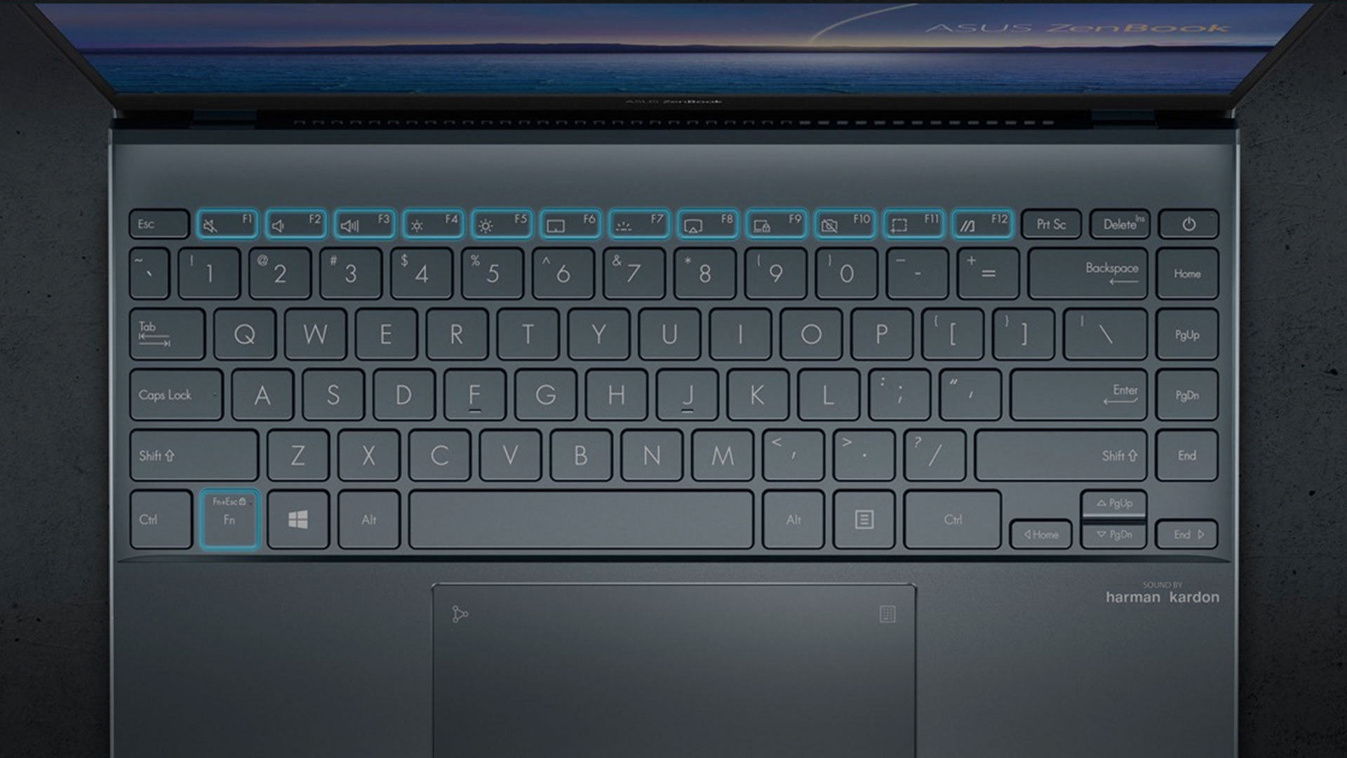 Asus 11