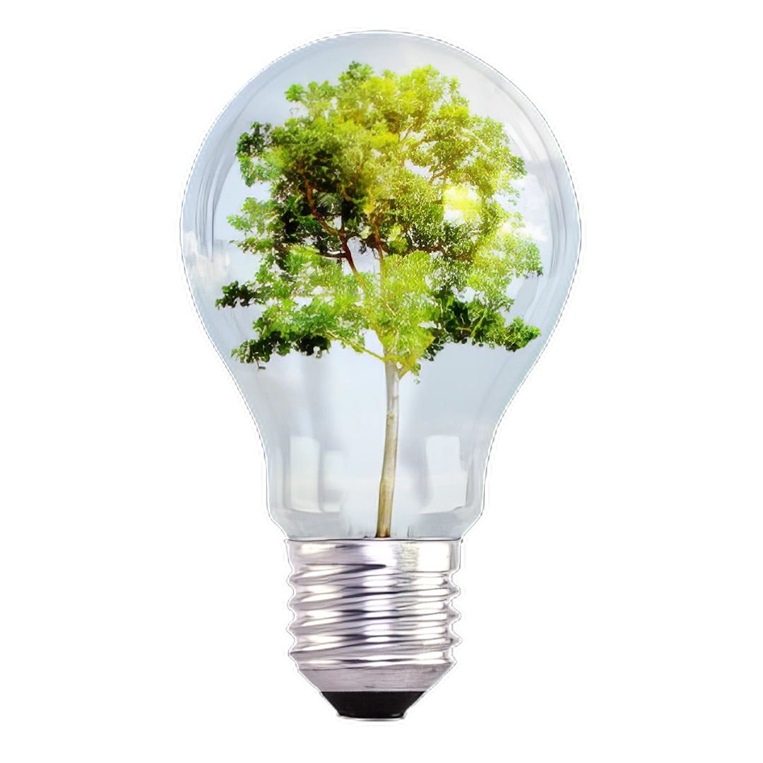 lampada